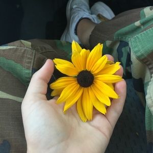 Meet your Posher, Jersey